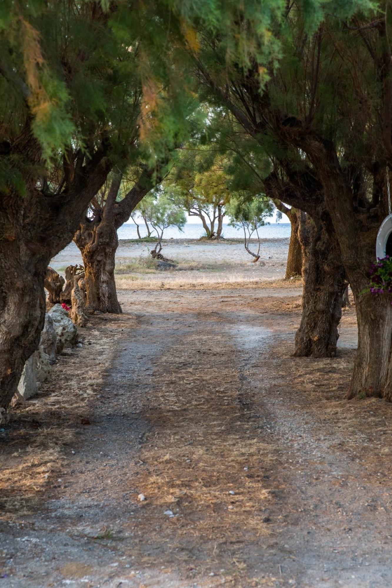 Aadonis Traditional House On The Sea * Kolymbari