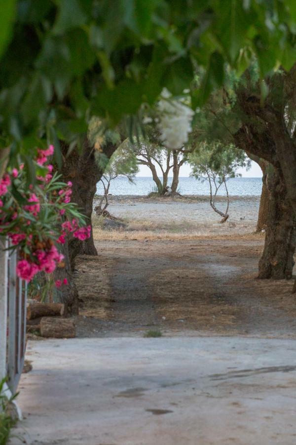 Aadonis Traditional House On The Sea Villa