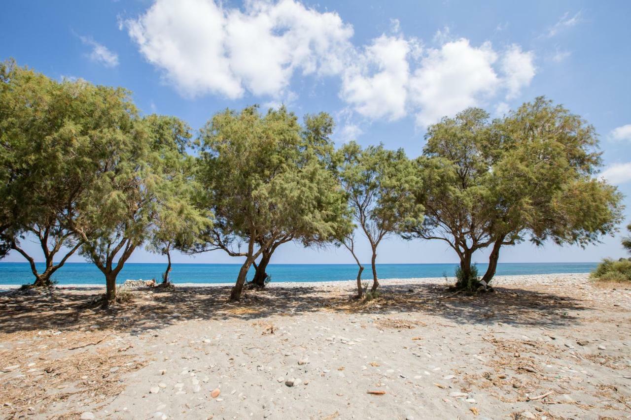 Aadonis Traditional House On The Sea * Kolymbari